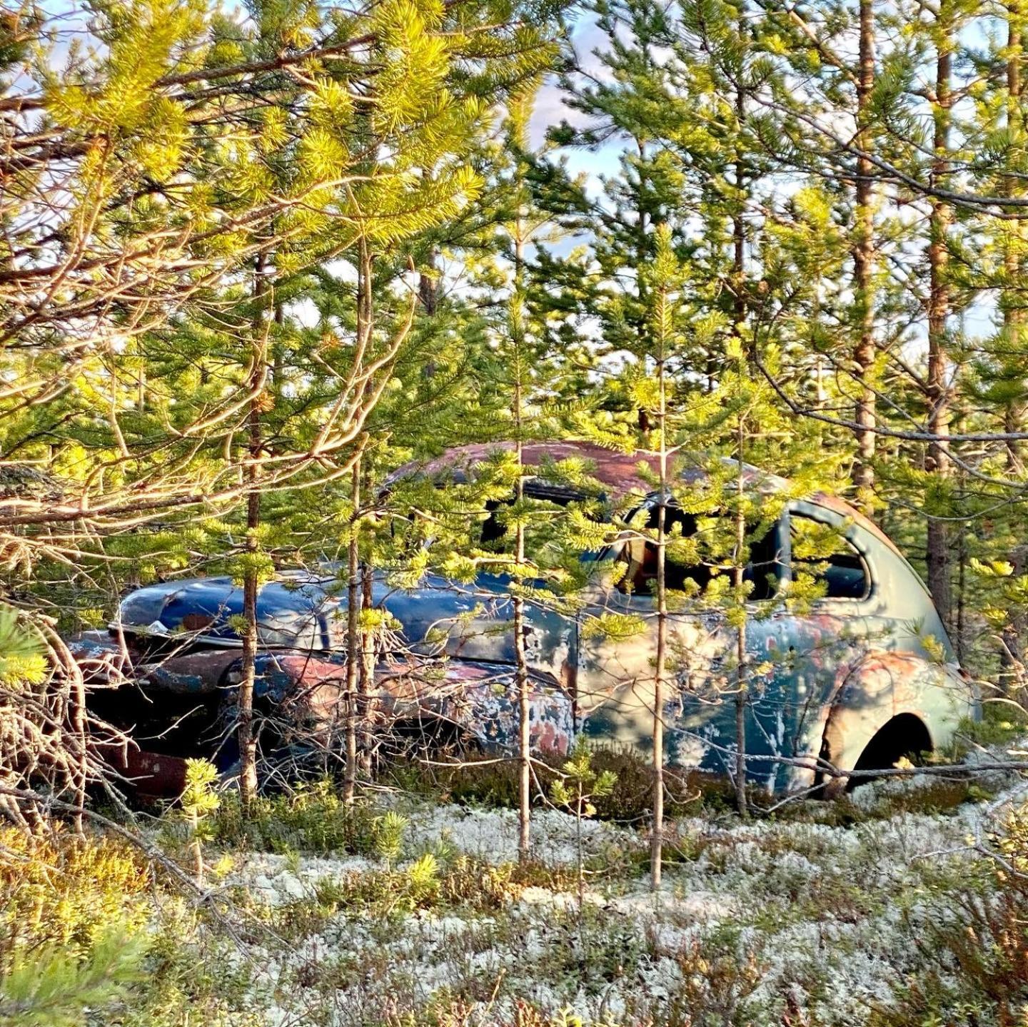 Offroadcamp Hotell Sörsjön Exteriör bild